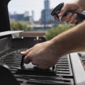 Weber Spirit E-325