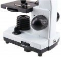 Carbon Biologic 40x-1600x
