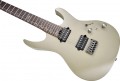 Mooer MMT100