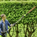 Greenworks GD60PHT51 2301107