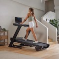 Nordic Track Commercial LE