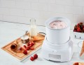 Cuisinart ICE21U