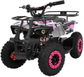 Profi HB-ATV 1000AS