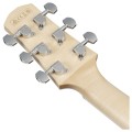 Ibanez AAD77M1E