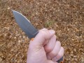 Gerber Compact Fixed Blade