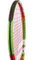 Babolat Ballfighter 19
