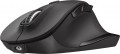 Trust Fyda Rechargeable Wireless Comfort Mouse