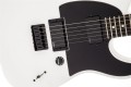 Fender Jim Root Telecaster