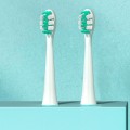 JIMMY Toothbrush Head for T6