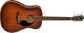 Fender PD-220E Dreadnought