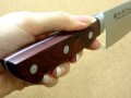 Satake 803-519