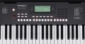 Roland E-X10