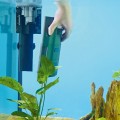Oase BioPlus 100