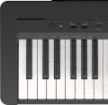 Yamaha P-143