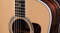 Taylor Legacy 810e