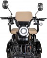 Atlas Elegant Trike 800W