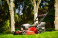 Cedrus KS56S-H