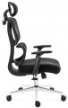 Mark Adler Expert 4.6