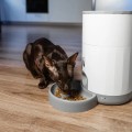 Petoneer Nutri Mini