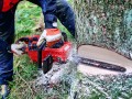 Einhell Professional GP-LC 36/40 Li BL Solo