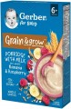 Gerber Milk Porridge 6 200