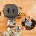 Cecotec Pumba 6000 Purrfect Meal