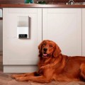Petcube Bites 2 Lite