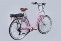 Dorozhnik eRetro Vbr FR 500W 2025