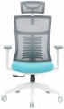 OfficePro Balance OC550