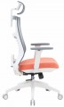 OfficePro Balance OC550