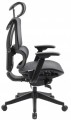 ADAPWORK S3 Mesh Senior ErgoChair