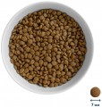 Home Food Kitten Lamb/Rice 10 kg