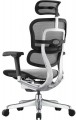 Comfort Ergohuman Elite 2