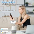 Aubess Smart Wi-Fi Plug 16A