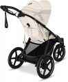 Cybex Avi Spin