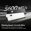 Patriot Memory Signature Premium DDR5 1x16Gb