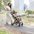Britax Romer Flylite
