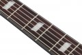 Ibanez FRH20FMN