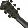 Ibanez AEG621