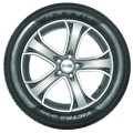 Maxxis M36 Victra