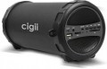 CIGII S11B