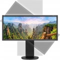 NEC EA295WMi