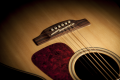 Takamine GN93CE