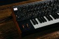 Moog Subsequent 37