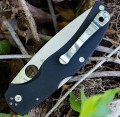 Spyderco Native Chef