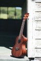 Kala Makala Concert Ukulele