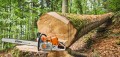 STIHL MS 881