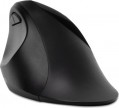 Kensington Pro Fit Ergo Wireless Mouse
