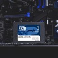 Patriot Memory P220S1TB25