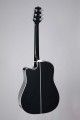 Takamine GD34CE